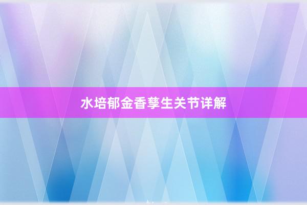 水培郁金香孳生关节详解