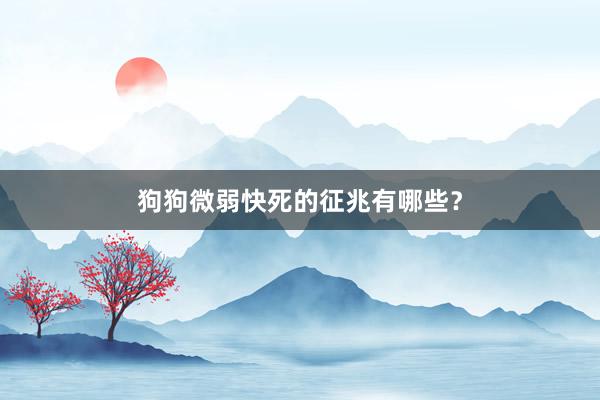 狗狗微弱快死的征兆有哪些?