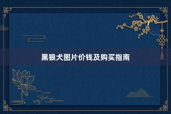 黑狼犬图片价钱及购买指南